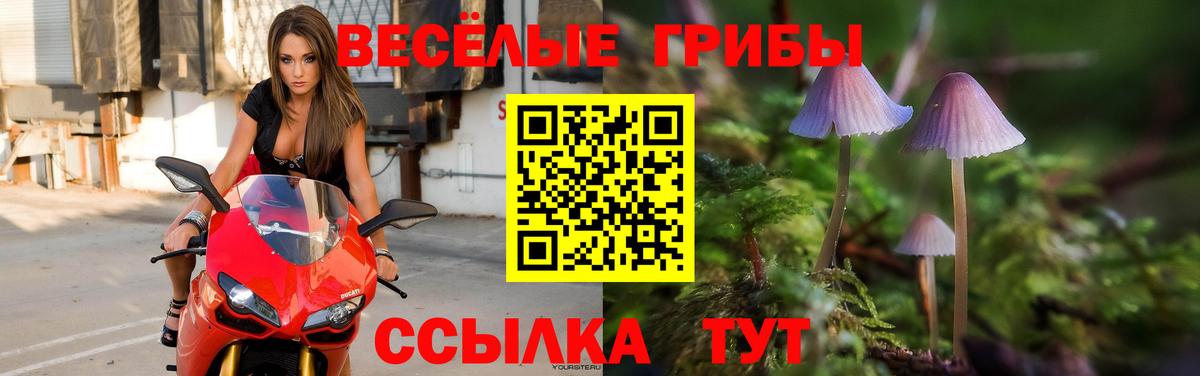 Анжеро-Судженск  Псилоцибиновые грибы GOLDEN TEACHER  Вход с VPN  Псилоцибиновые грибы мицелий 